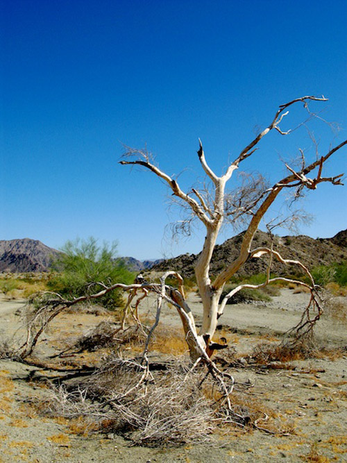 Melanie Heinrich - Travel